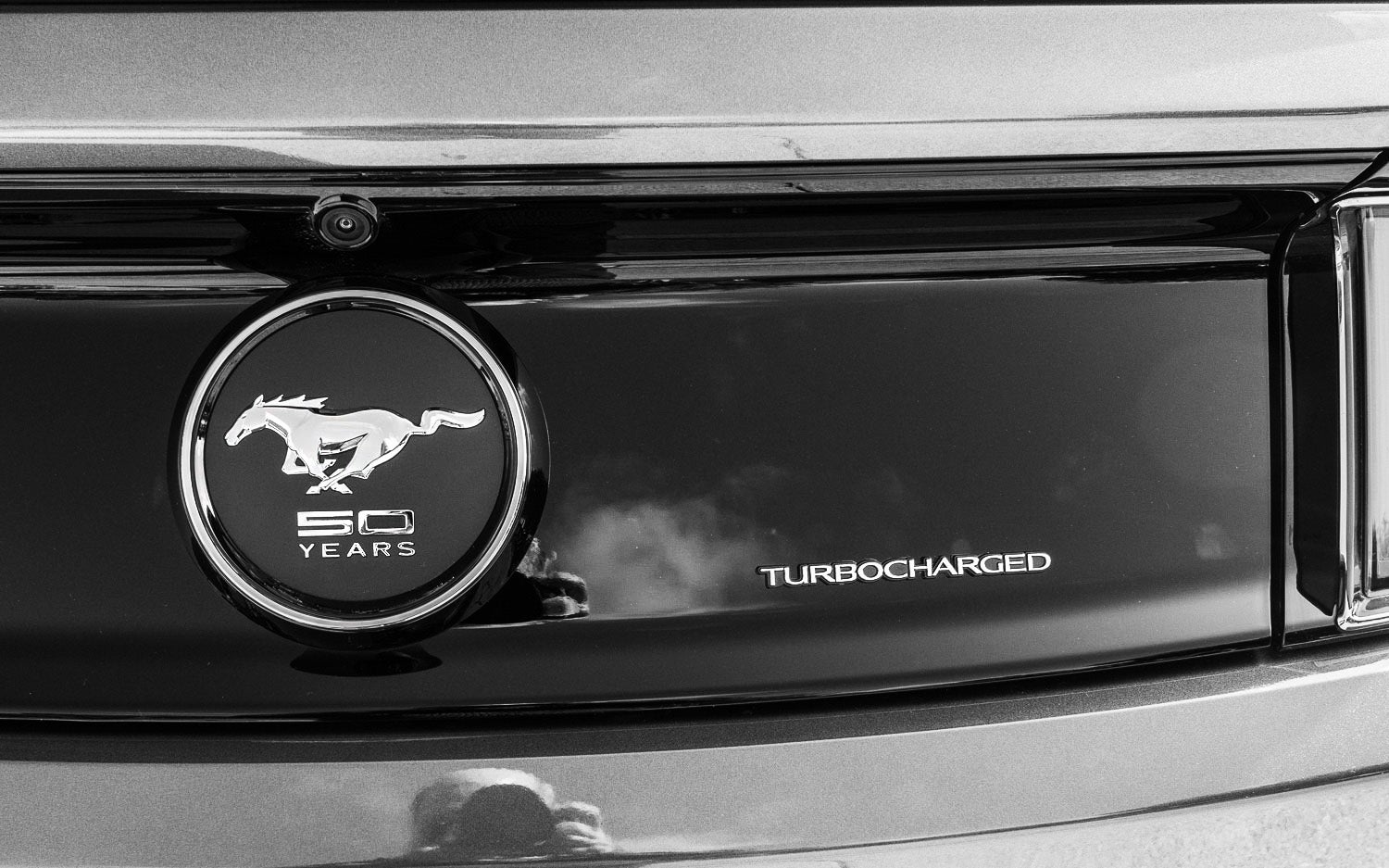 Ford Mustang Tail Panel Back Emblem Faux Gas Cap New OEM 5R3Z 6342528 AA Ford Mustang Tail Panel Back Emblem Faux Gas Cap New OEM 5R3Z 6342528 AA